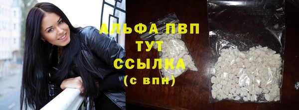 стаф Вязники