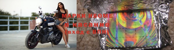 стаф Вязники