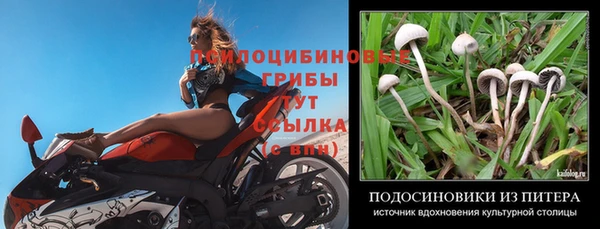 стаф Вязники